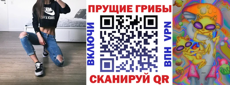 купить наркотик  Алупка  Псилоцибиновые грибы Psilocybine cubensis 